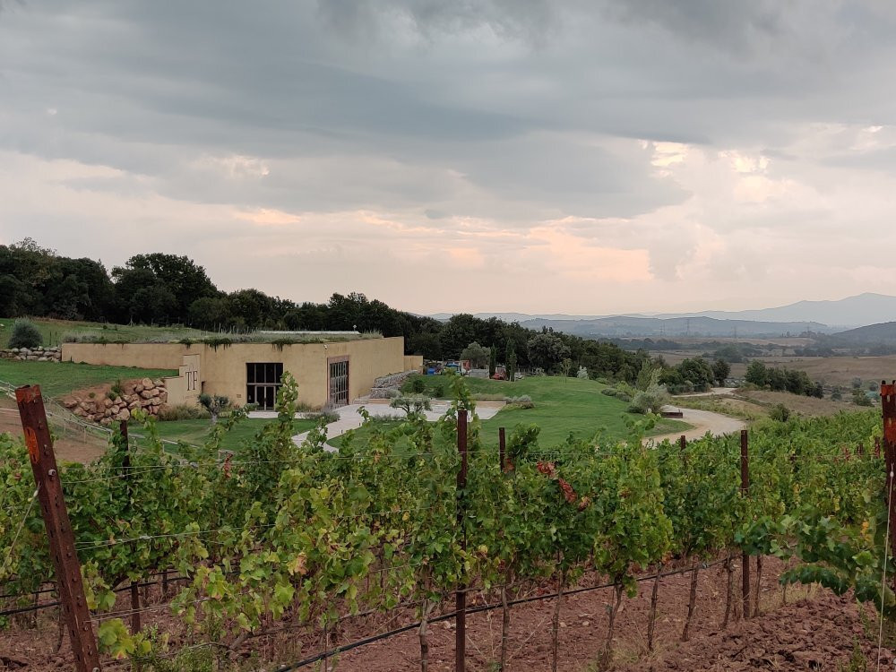Tenuta Del Fontino主图