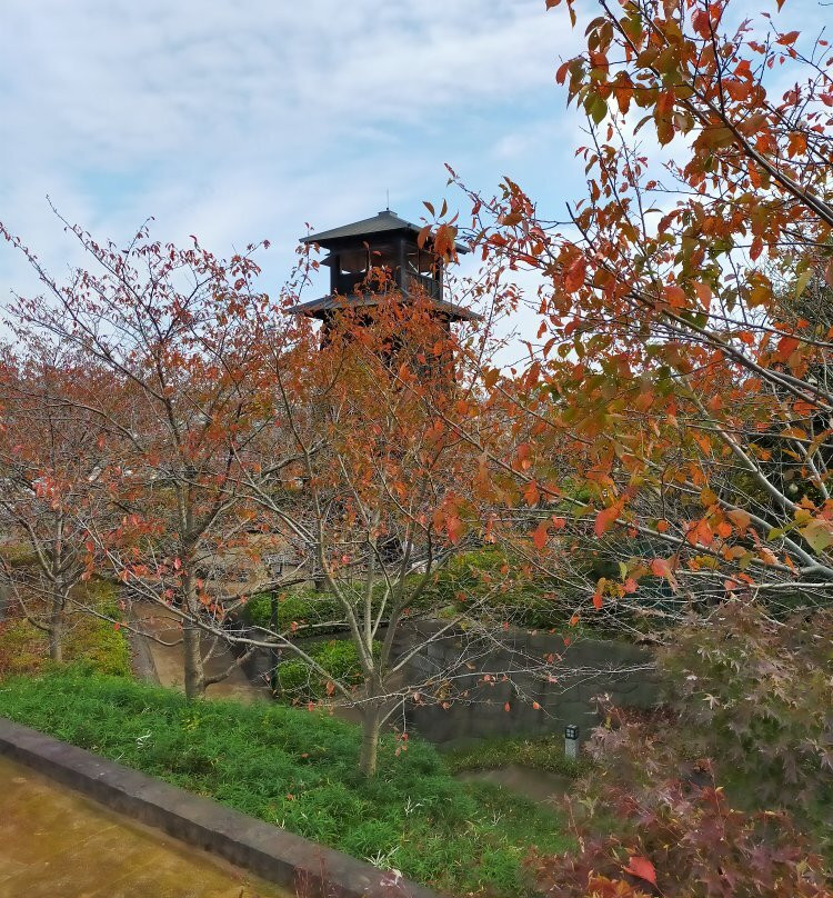 Shinkawa Hi no Miyagura-江戸川区必去景点