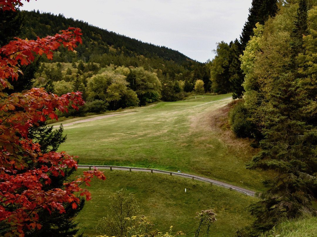 Fundy National Park Golf Course-阿尔马必去景点