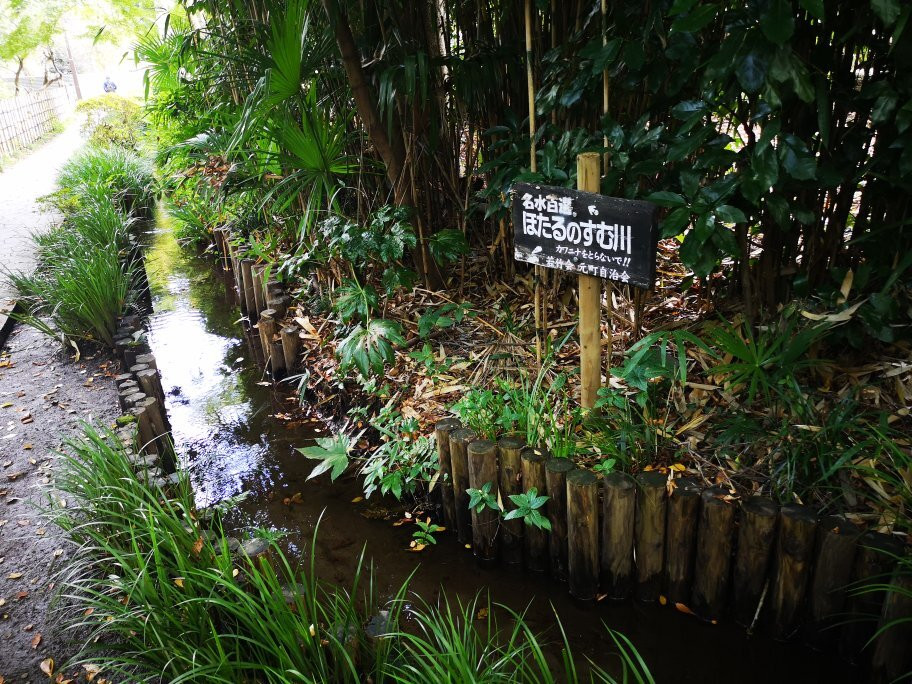 Otaka no Michi Spring Park-国分寺市必去景点