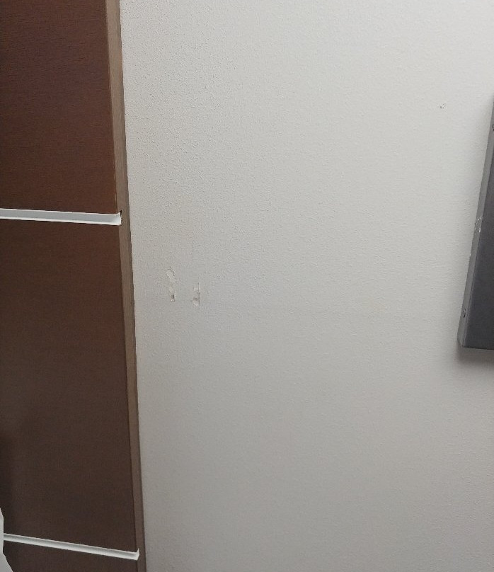 Holiday Inn Express & Suites Gainesville - Lake Lanier Area By IHG主图