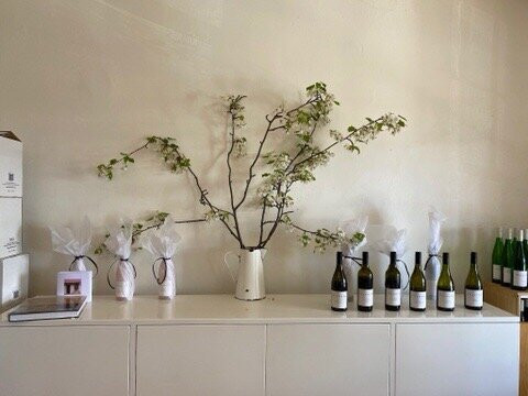 Collector Wines-Collector必去景点