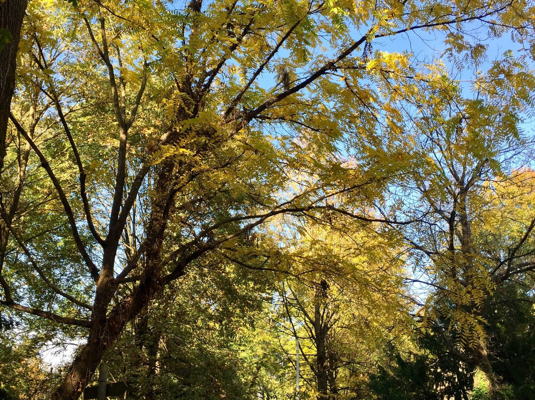 Parco naturale di Frassanelle景点图片