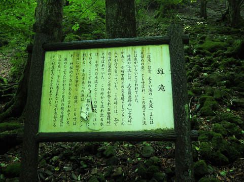 Otaki Waterfall-小菅村必去景点