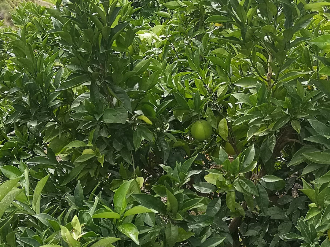 Hotel Quinta do Silval主图