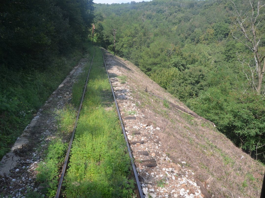 Oravita – Anina Railway景点图片