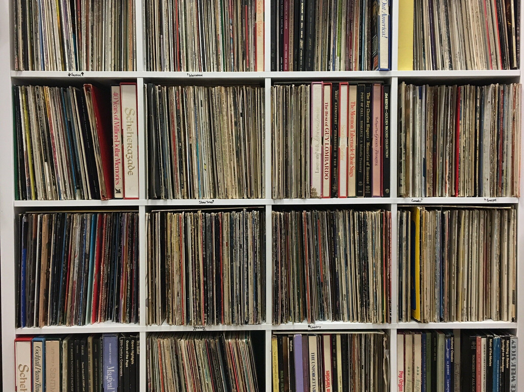 The Paisley Whale-Kingston必去景点