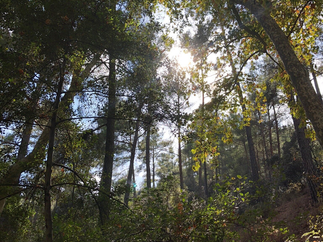 Mesa Potamos Waterfalls-帕拉翠斯必去景点