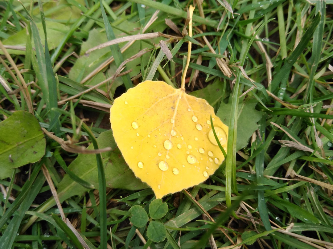 Days Inn by Wyndham Red Bluff主图