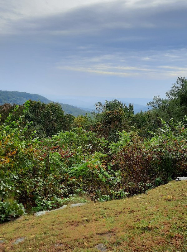 Monte Sano State Park-亨茨维尔必去景点