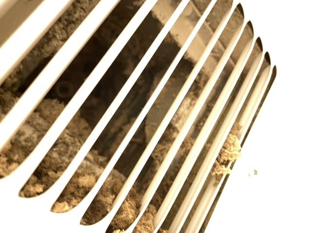 Holiday Inn Salem By IHG主图