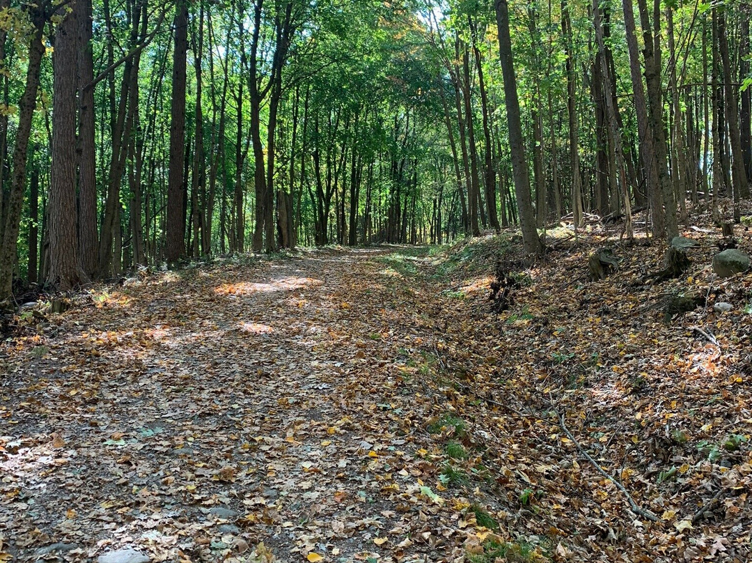 White Memorial Conservation Center-利奇菲尔德必去景点