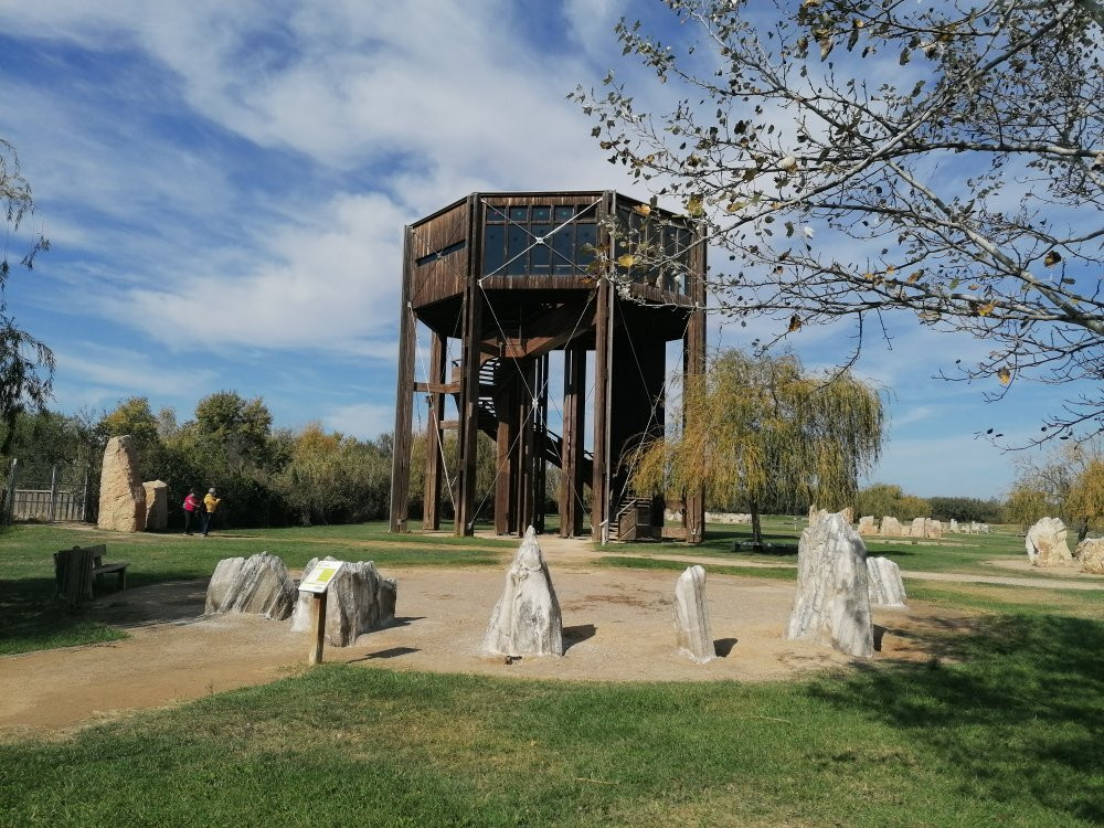 Reserva Natural de Los Galachos de La Alfranca景点图片