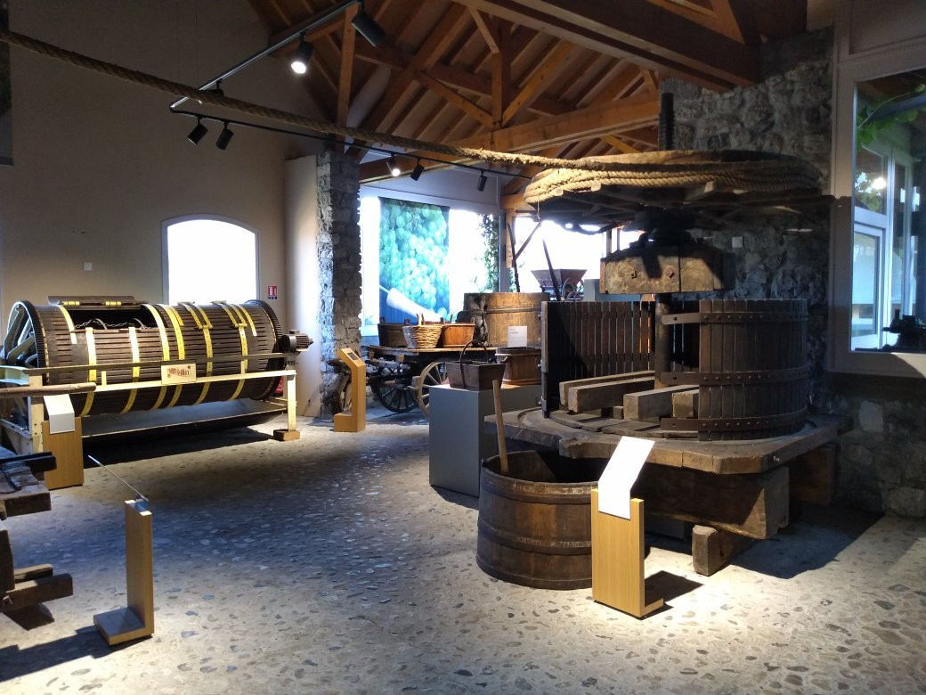 Musee de la vigne et du vin de Savoie景点图片