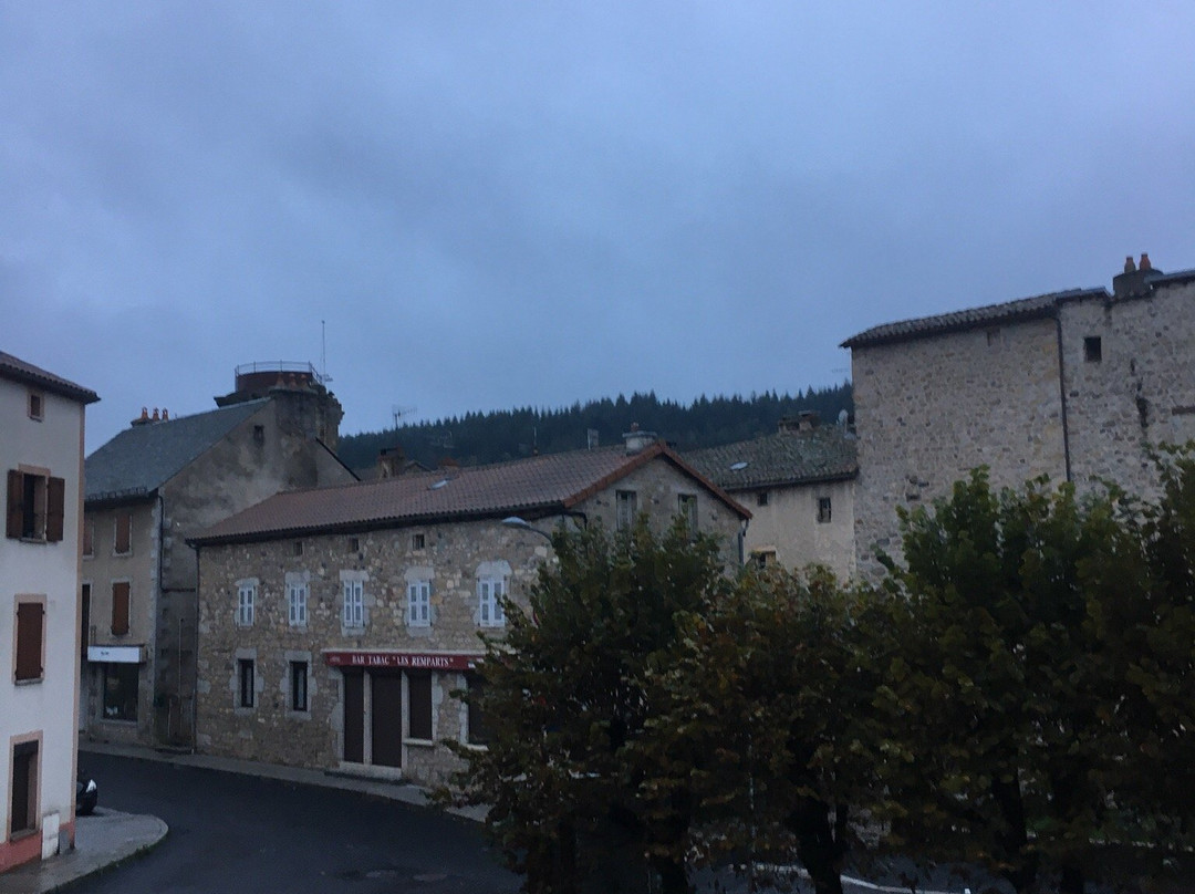 Logis Hôtel des Voyageurs主图