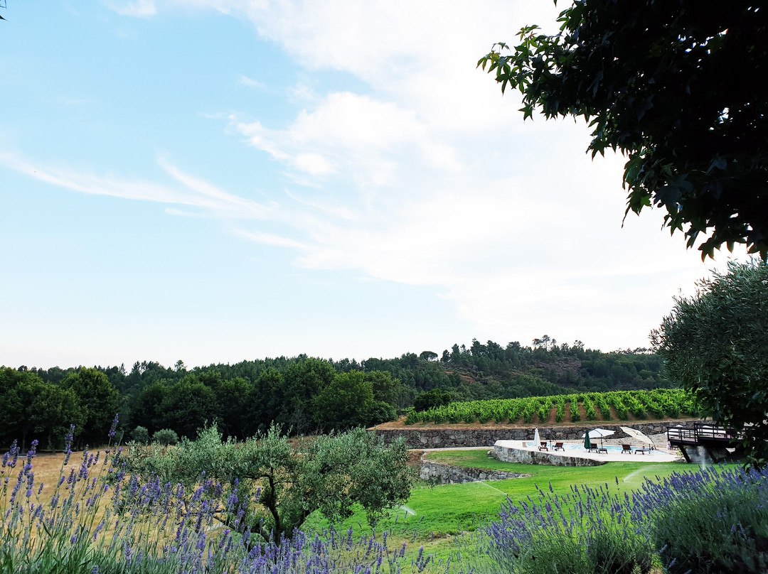 Quinta do Medronheiro Hotel Rural主图