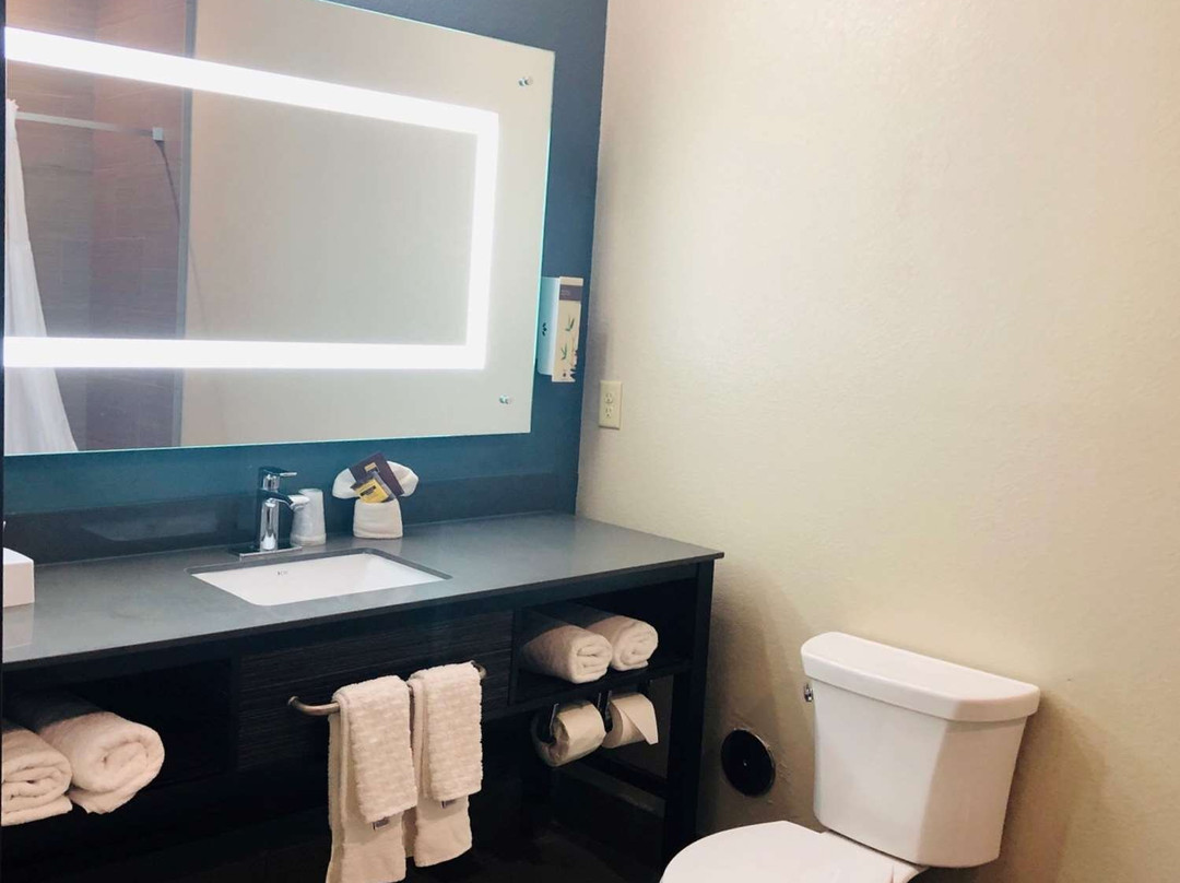 Best Western Plus Pflugerville Inn & Suites主图