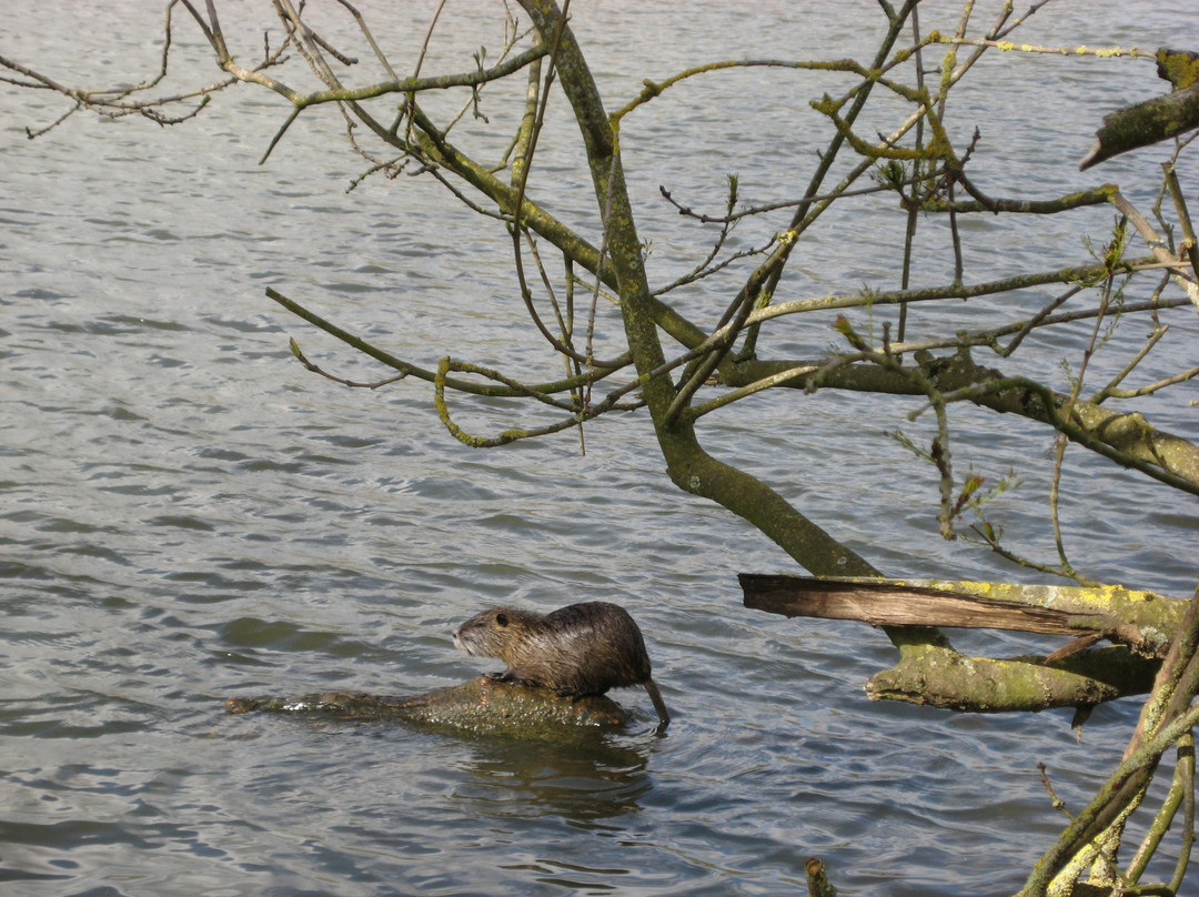 La Pointe Bouchemaine-Bouchemaine必去景点