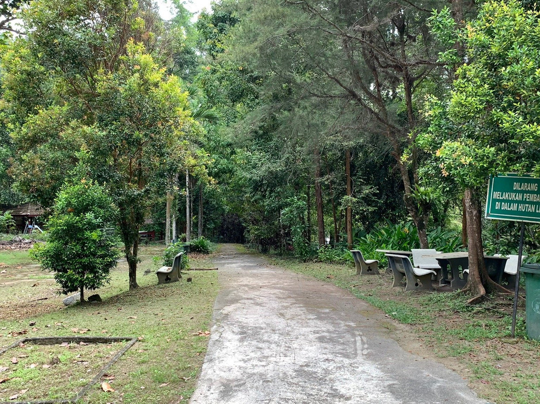 Chamang Waterfall-文冬必去景点
