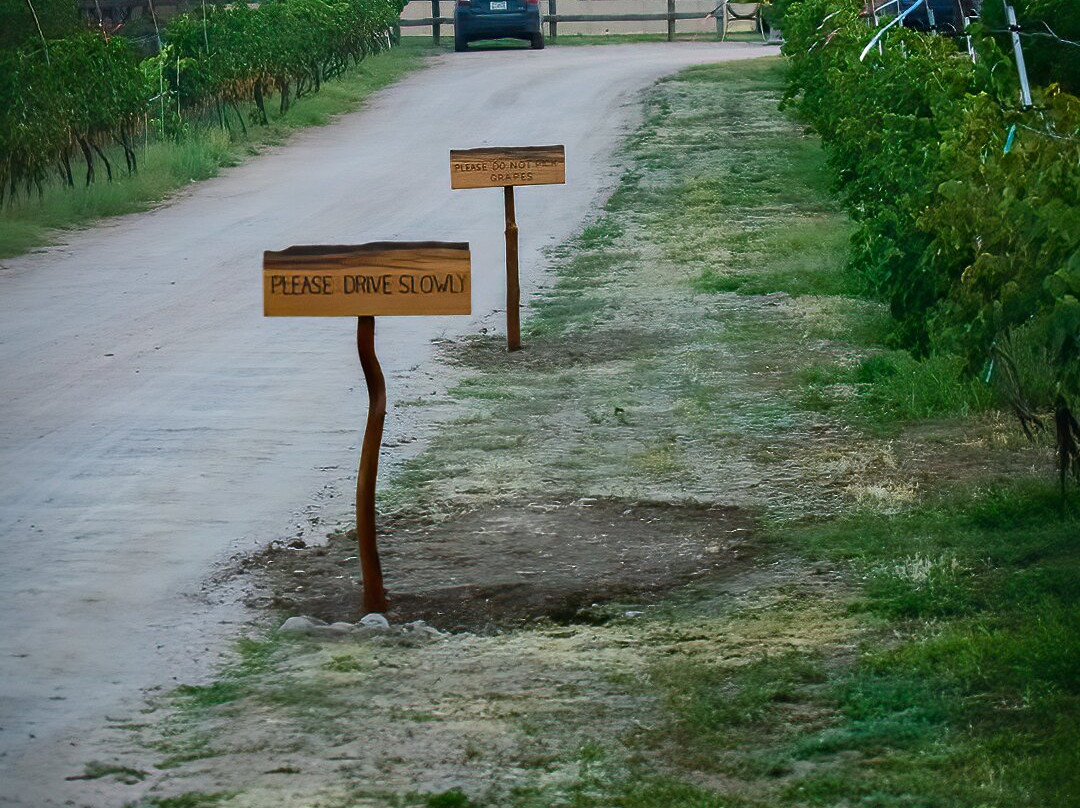 Bruzzi Vineyard-Young必去景点