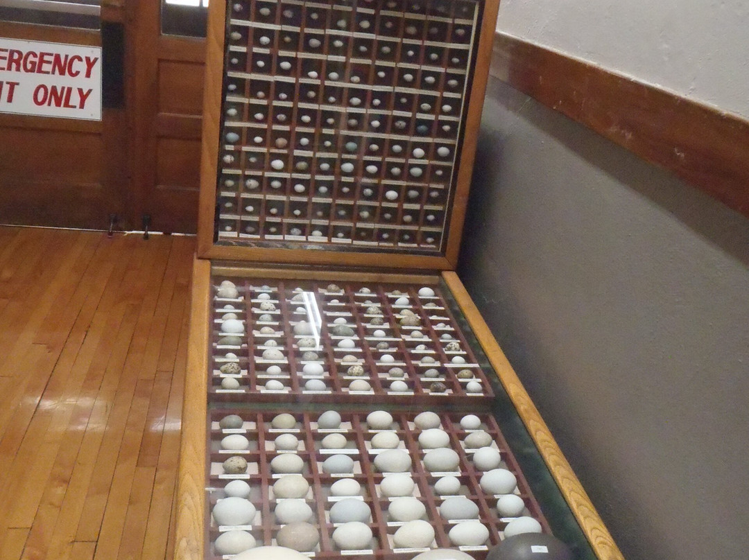 Martin County Historical Society-Fairmont必去景点