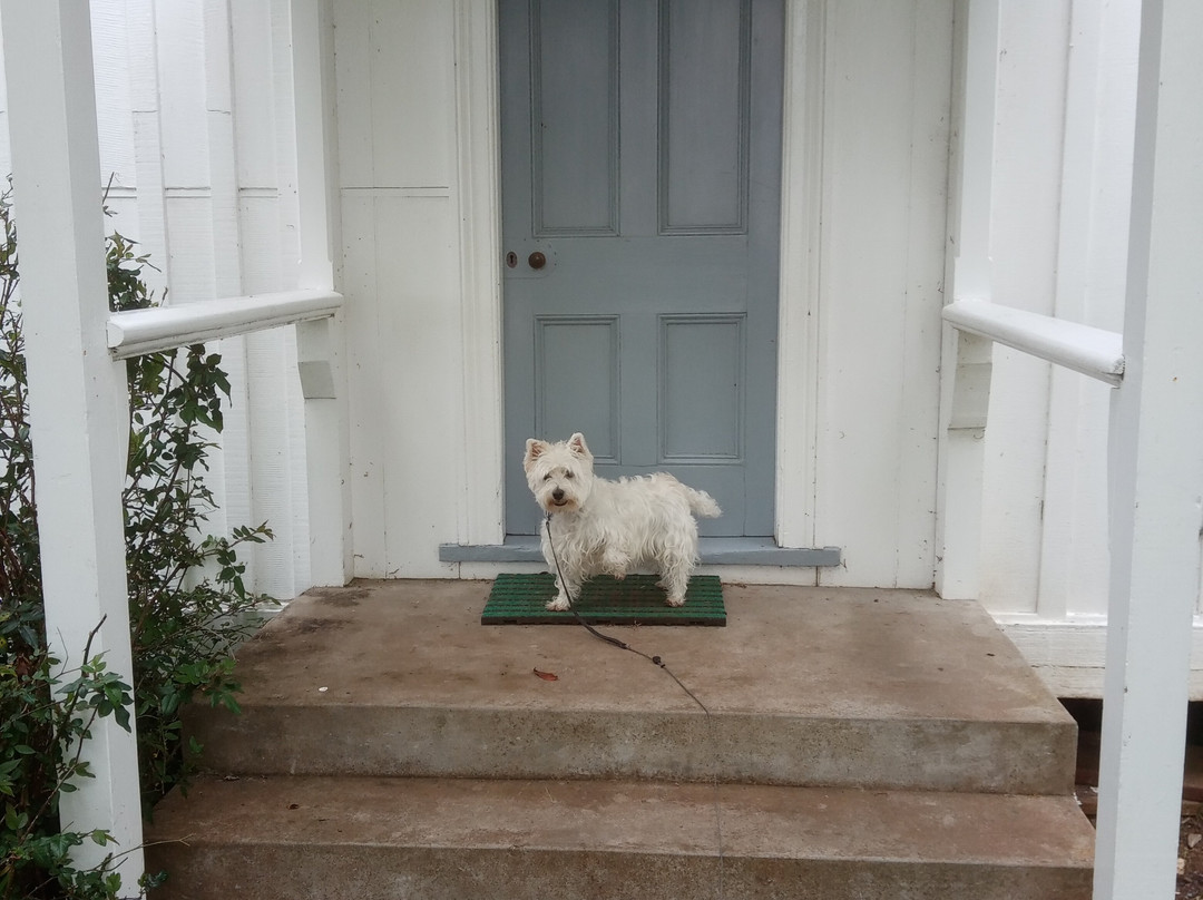 Te Waimate Mission-Waimate North必去景点