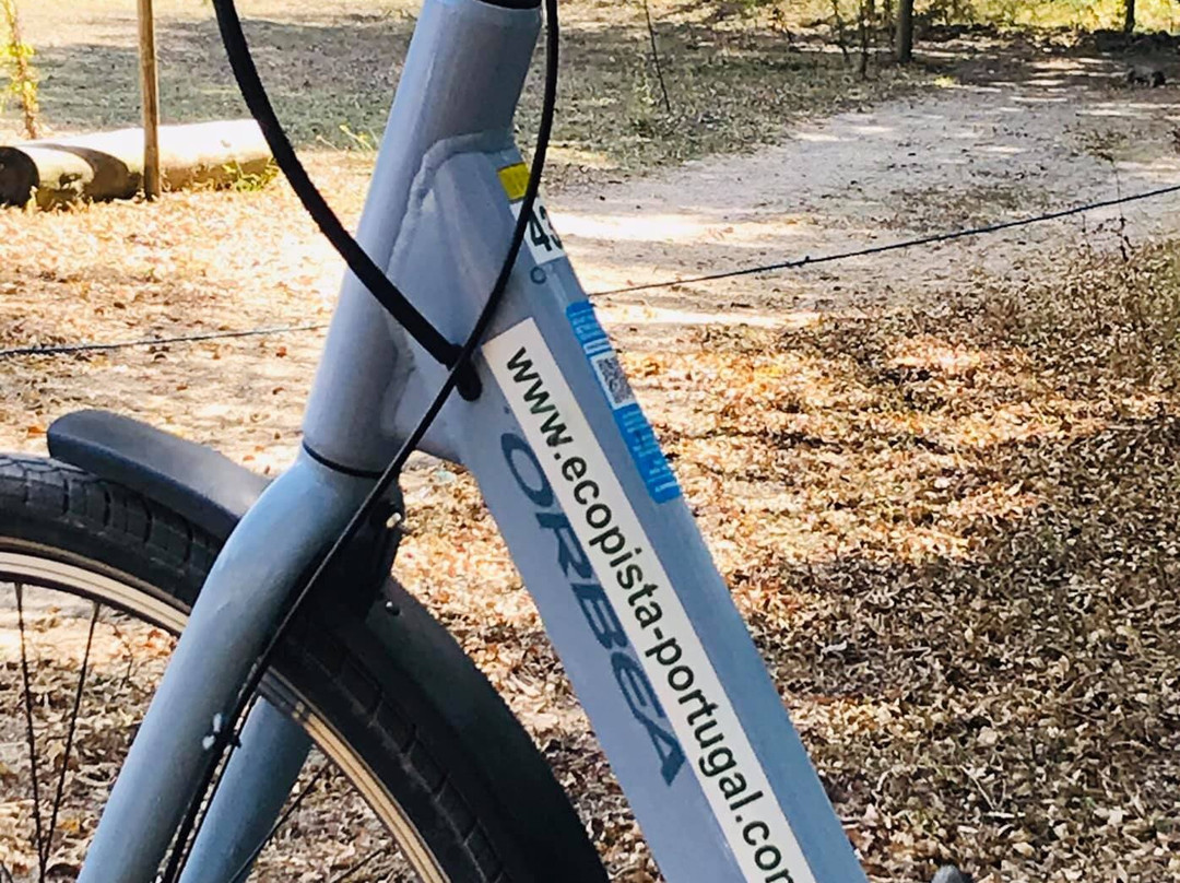 Abelenda Bike Rental景点图片