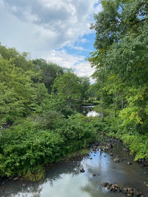 Wayne Village Dam on Mill Brook