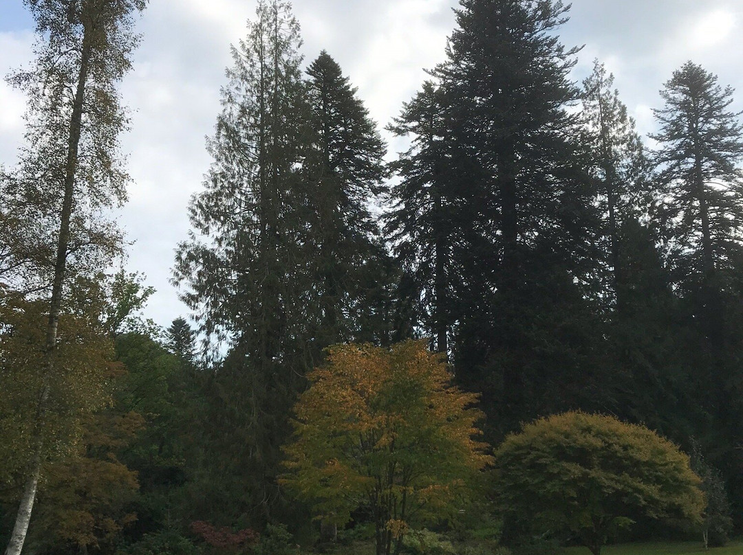 Holne Park House主图