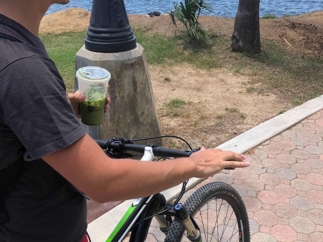 TRI-BIKE ARUBA-Santa Cruz必去景点