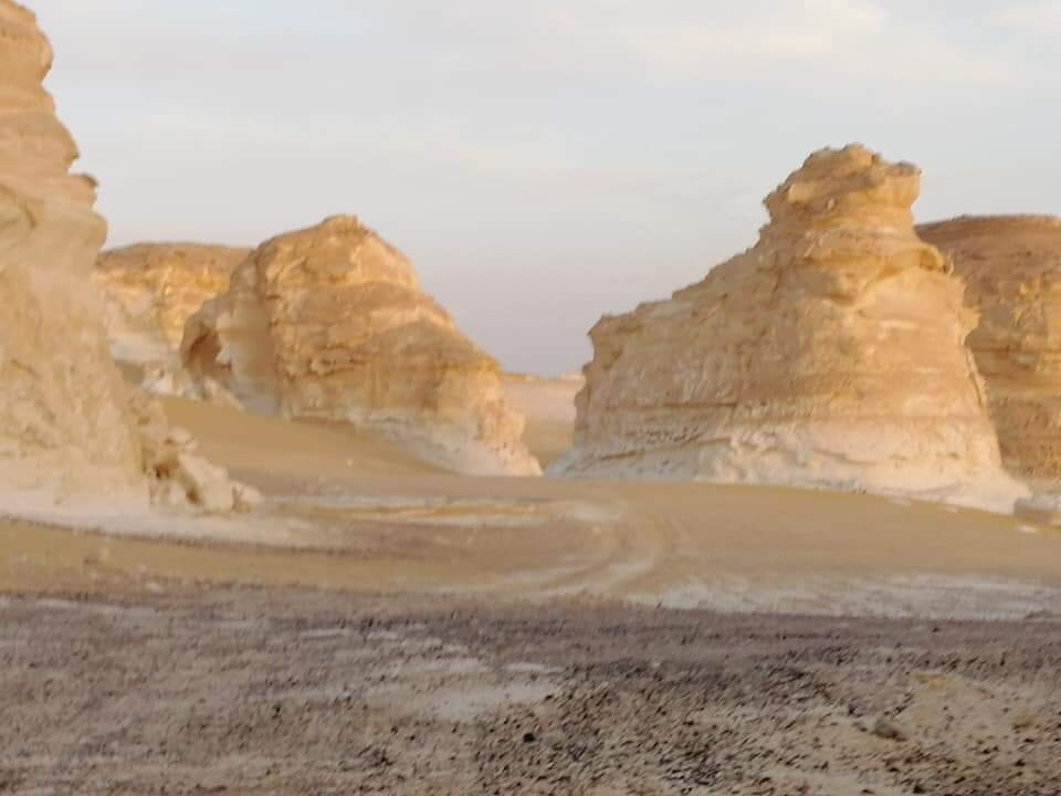 Bedouin Trails-吉萨必去景点