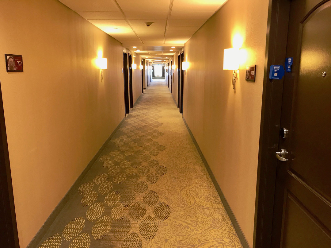 希尔顿旗下欢朋酒店及套房-萨斯卡通机场主图