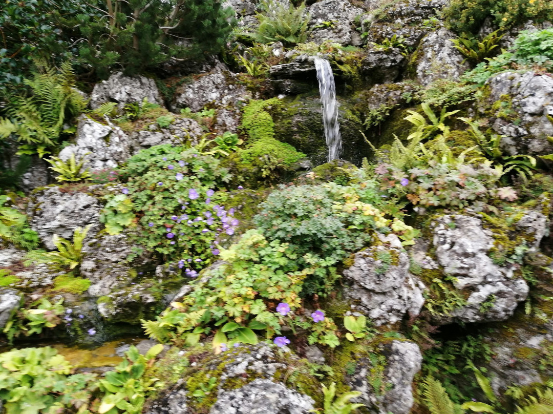 Aysgarth Edwardian Rock Garden景点图片