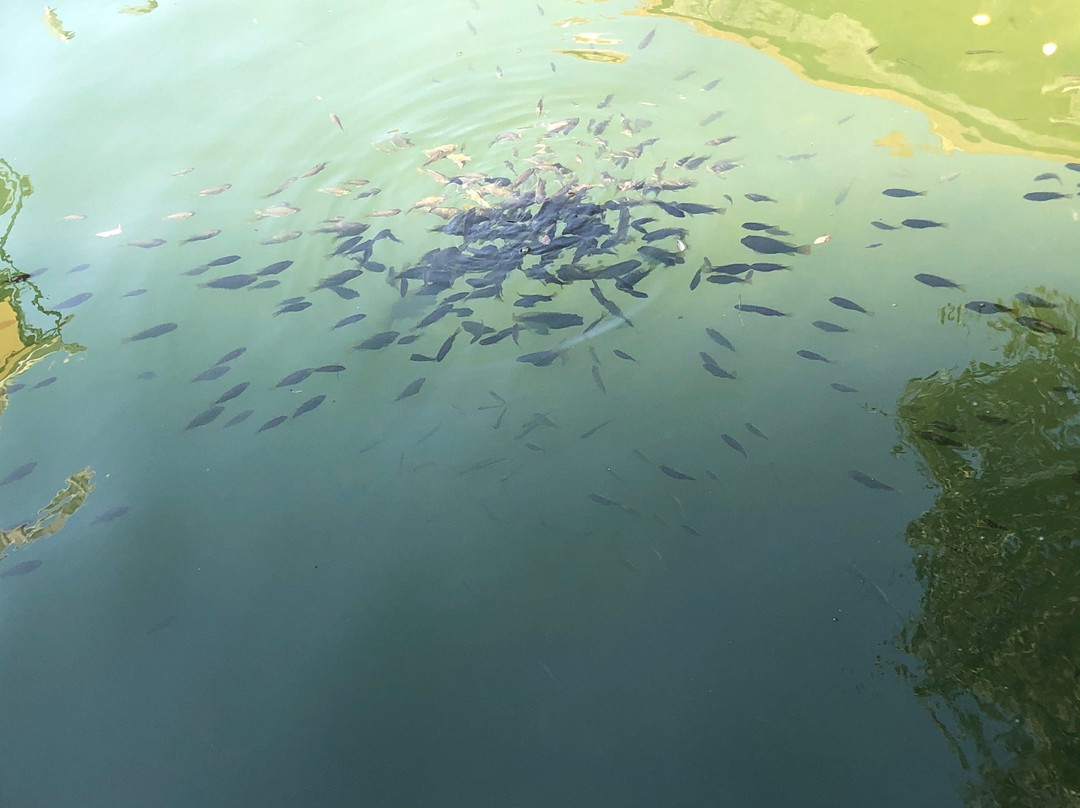 Dalyan Special Environmental Protection Area景点图片