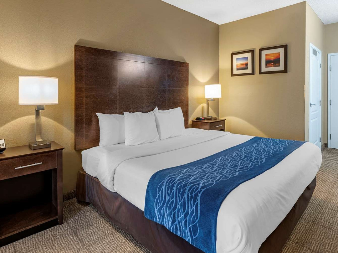 Comfort Inn & Suites Bryant - Benton主图