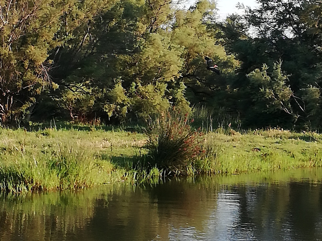 L'Alta Bhanda Birdwatching  day Tour-Valledoria必去景点