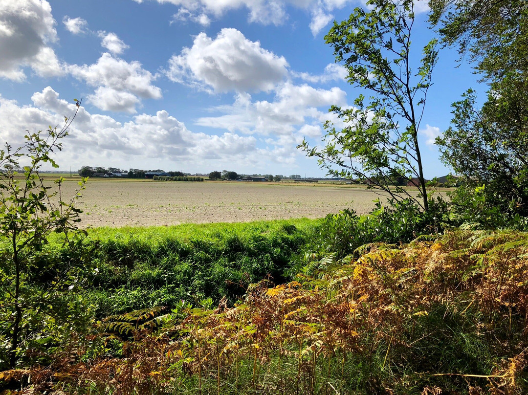 Mere Sands Wood Nature Reserve景点图片