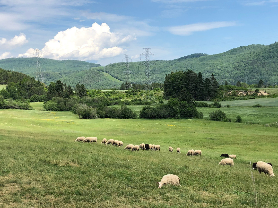 Famille Migneron de Charlevoix-Baie-St-Paul必去景点