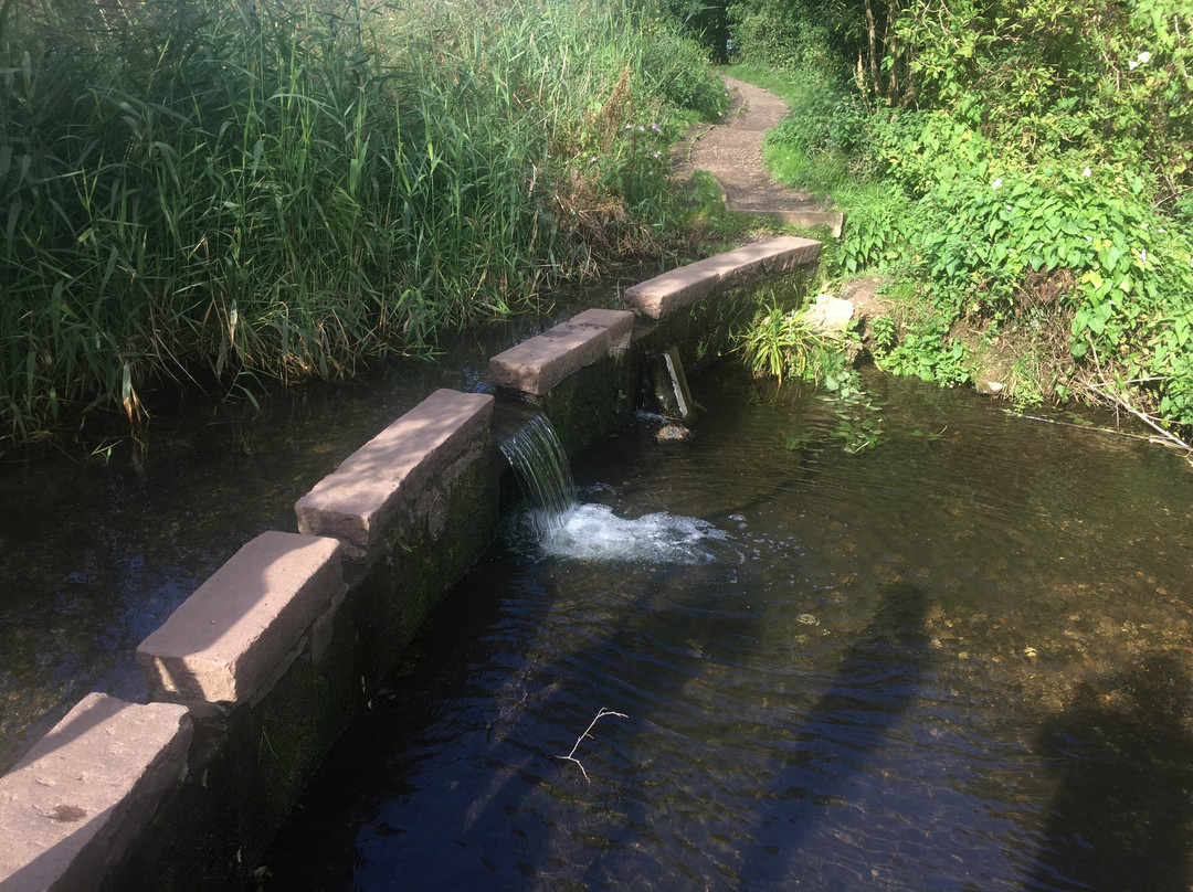 Batford Springs Nature Reserve景点图片