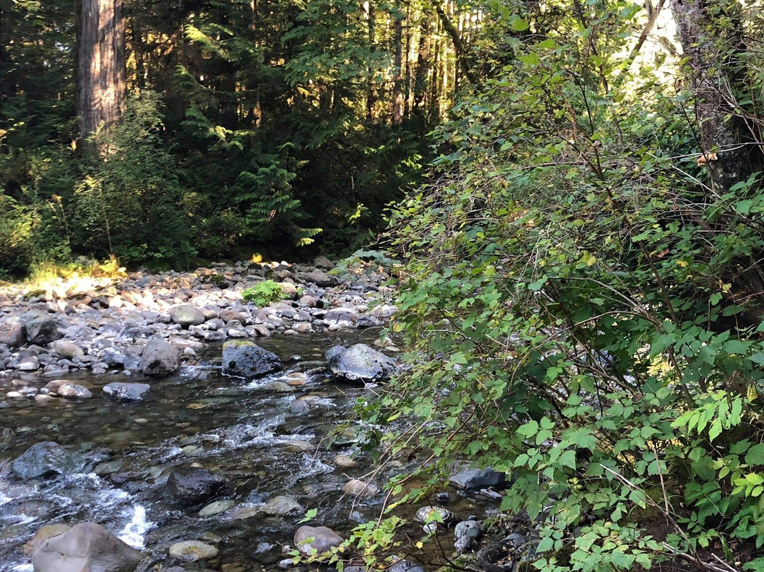 Rosewall Creek Provincial Park景点图片