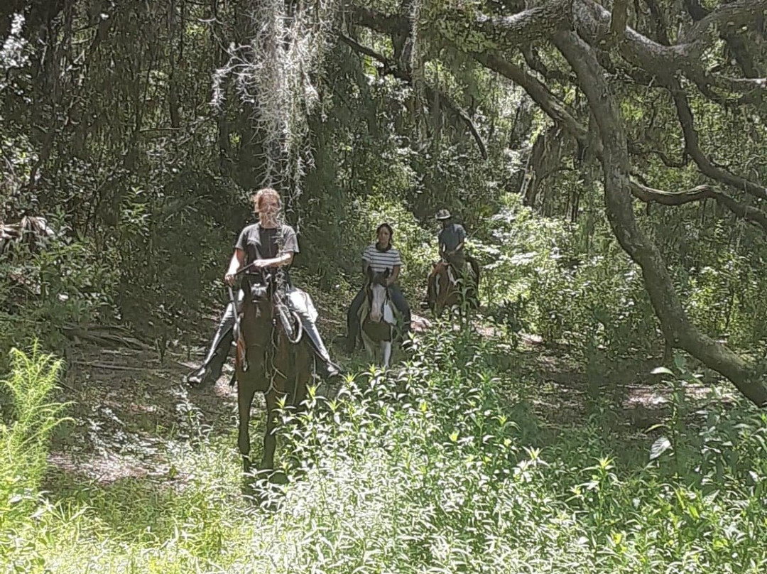 Skunkie Acres, Inc'-Citra必去景点