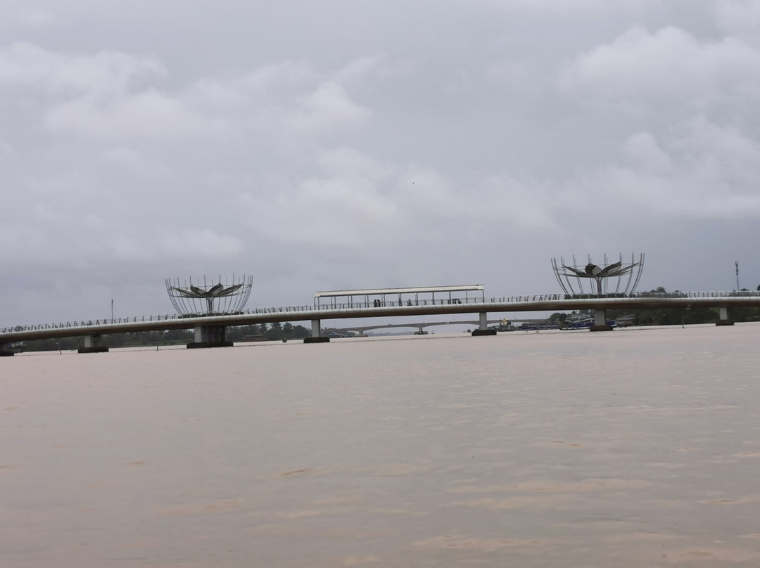 Can Tho Bridge-芹苴必去景点