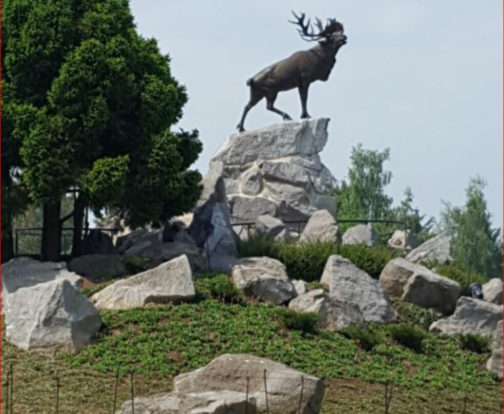 Mémorial Terre-neuvien De Beaumont-hamel景点图片