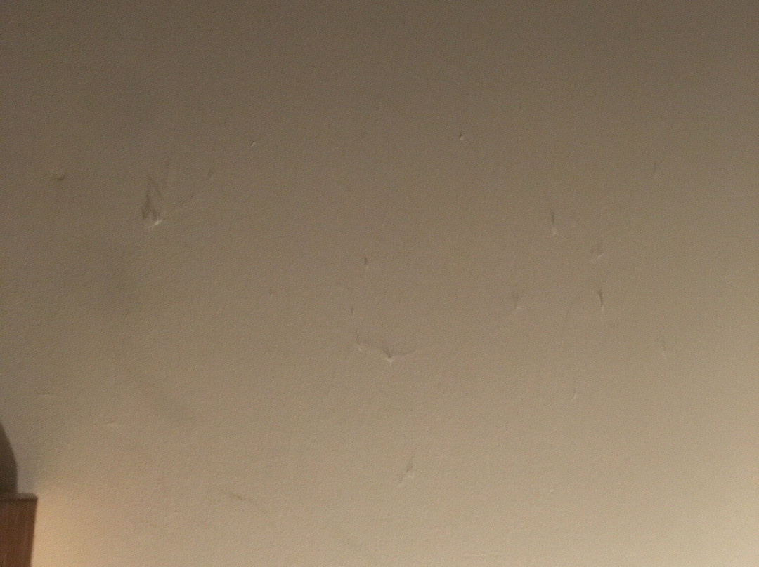 佩宁顿酒店主图