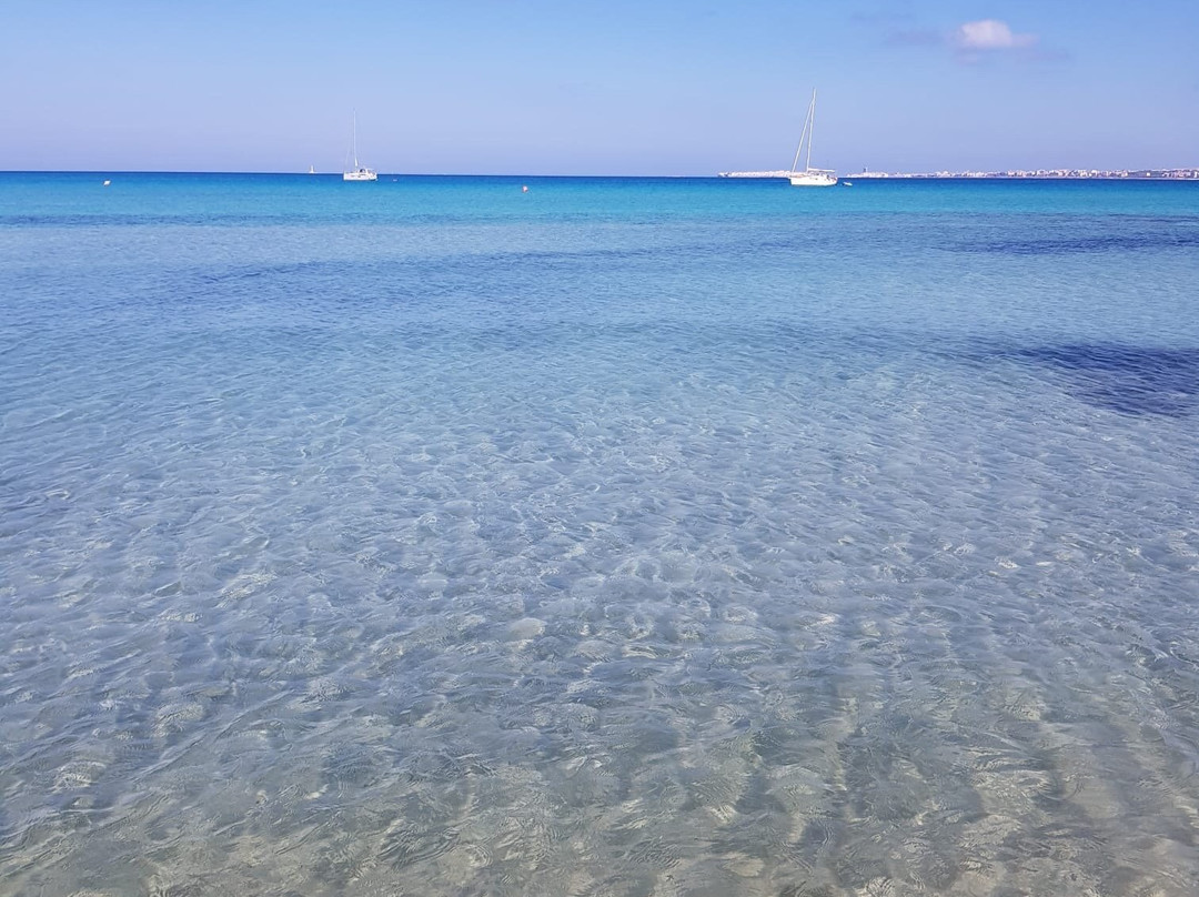 B&B Cinque Stelle Salento主图