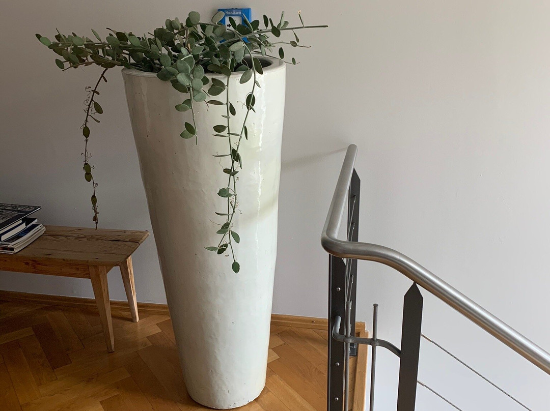 Hotel Der Grüne Baum主图