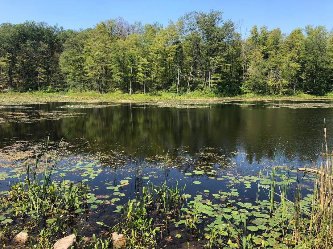Terra Cotta Conservation Area-霍尔藤山市必去景点