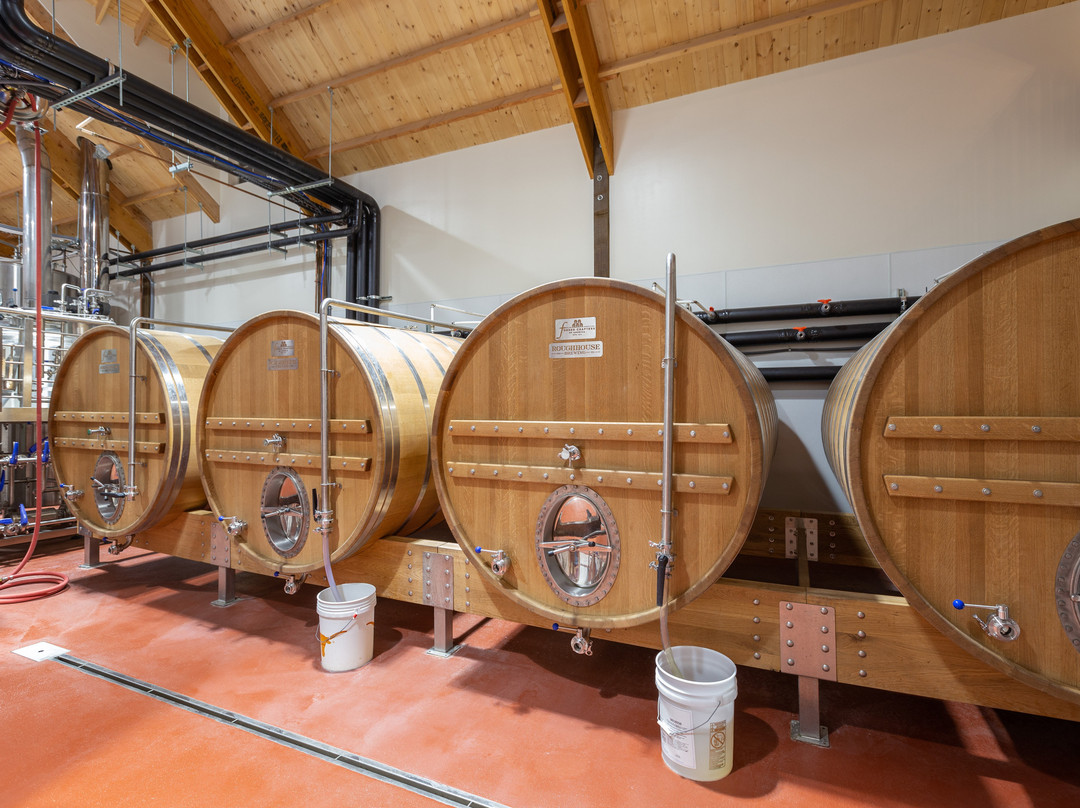 Roughhouse Brewing-圣马科斯必去景点