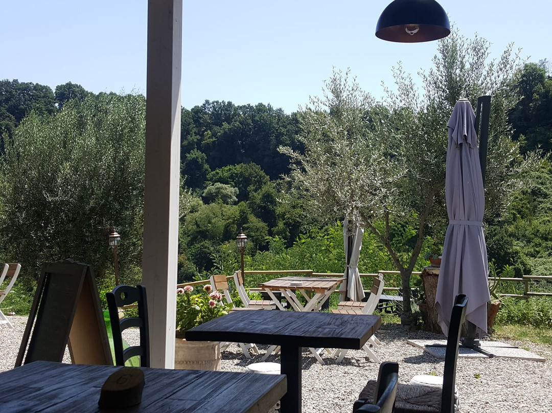 Bio Agriturismo Olistico Valle dei Calanchi主图