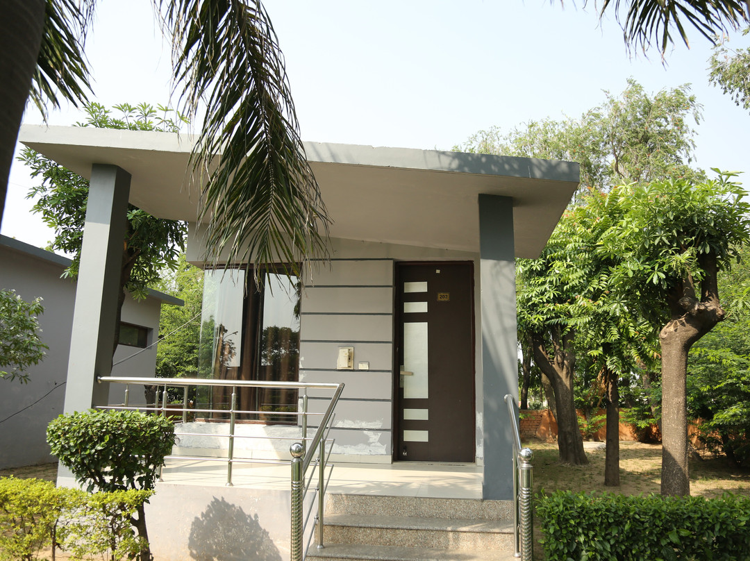 Drive In 22 Resort主图